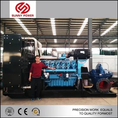 Entwässerungspumpe für den Bergbau