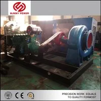 Hochwasserentwässerungspumpe