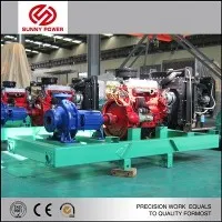 Selbstansaugende Meerwasserpumpe